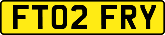 FT02FRY