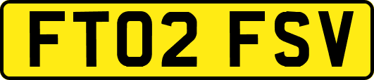 FT02FSV