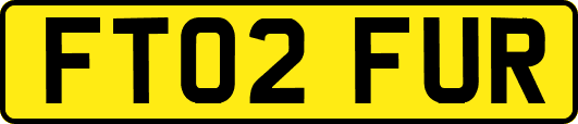 FT02FUR