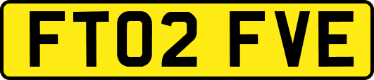 FT02FVE