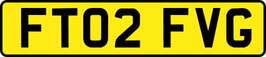 FT02FVG