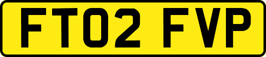 FT02FVP