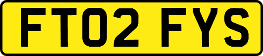 FT02FYS