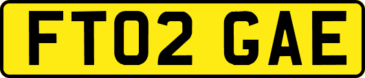 FT02GAE
