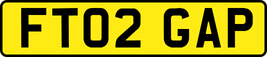 FT02GAP