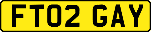 FT02GAY