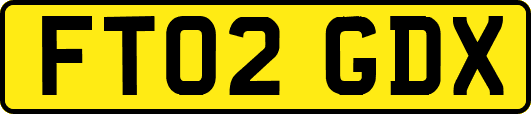 FT02GDX