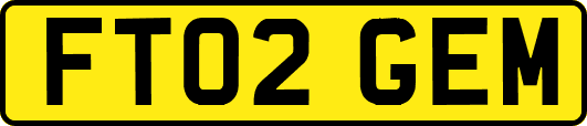 FT02GEM