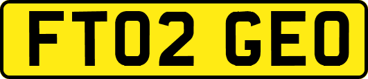 FT02GEO
