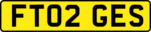 FT02GES