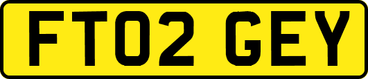 FT02GEY