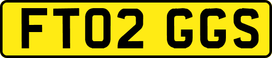 FT02GGS