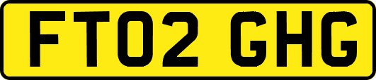 FT02GHG