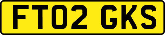FT02GKS