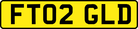 FT02GLD