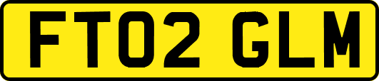FT02GLM