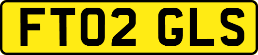 FT02GLS