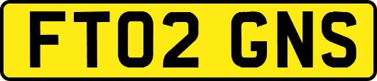 FT02GNS