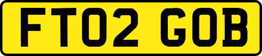 FT02GOB