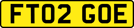 FT02GOE