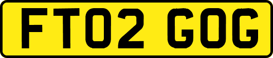 FT02GOG