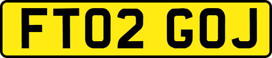 FT02GOJ