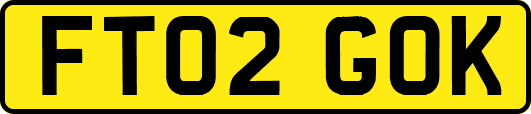 FT02GOK