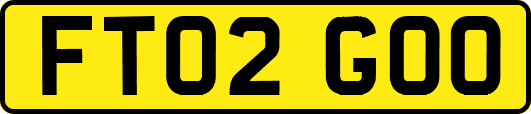 FT02GOO