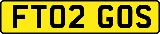 FT02GOS