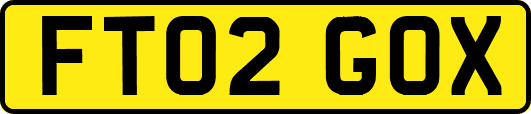 FT02GOX