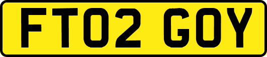 FT02GOY