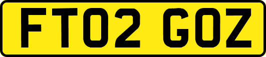 FT02GOZ