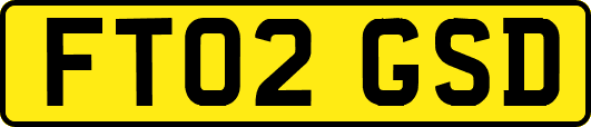FT02GSD