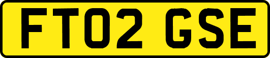 FT02GSE