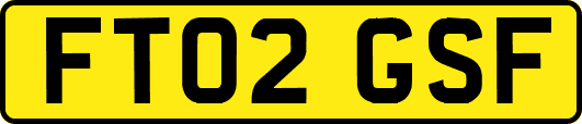 FT02GSF