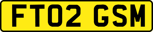 FT02GSM