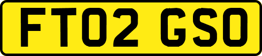 FT02GSO