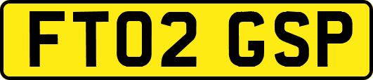 FT02GSP