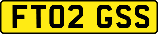 FT02GSS