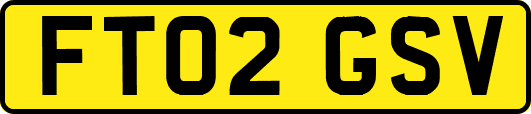 FT02GSV