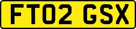 FT02GSX