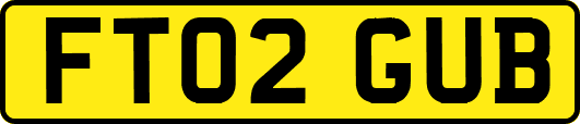 FT02GUB