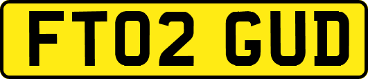 FT02GUD