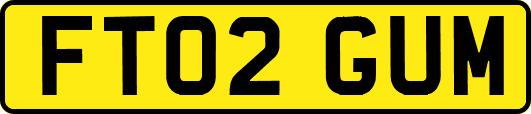 FT02GUM