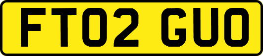 FT02GUO