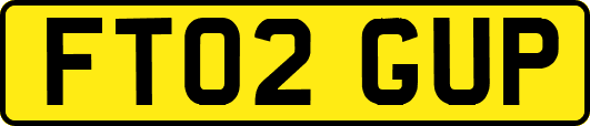 FT02GUP