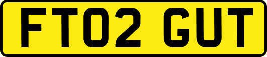 FT02GUT