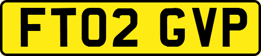 FT02GVP