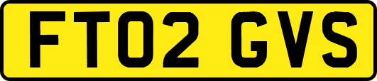 FT02GVS