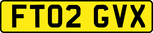 FT02GVX
